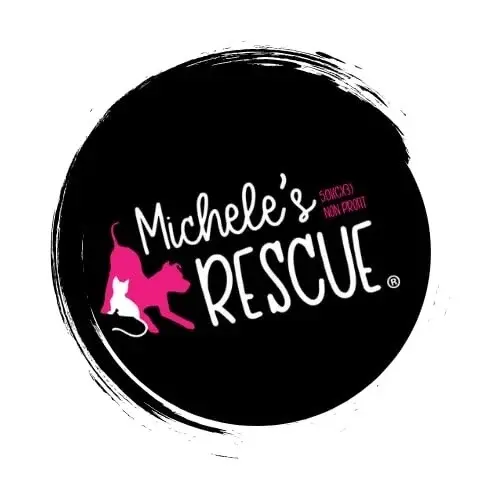 Micheles rescue 2